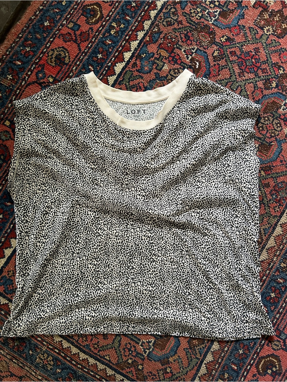 LOFT Cream and Black Leopard Print Pullover - Picture 2 of 4